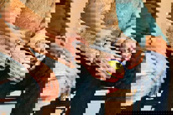 Image of a carer's hand on the arm of an elderly man holding a ball